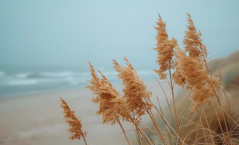 Blowing In The Wind - Blue Cheap With Mastercard