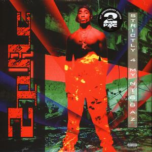 2pac - Strictly For My N.I.G.G.A.Z... Recommend For Sale