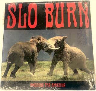 Slo Burn Amusing The Amazing Vinyl 10 Inch Clearance Exclusive