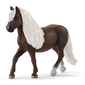 Black Forest Mare Buy Cheap Pices