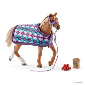 English Thoroughbred with Blanket Low Pice Sale Online