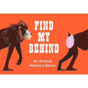 Find My Behind Matching Game Looking For Sale Online