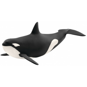 Schleich Killer Whale Amazon Cheap Pice