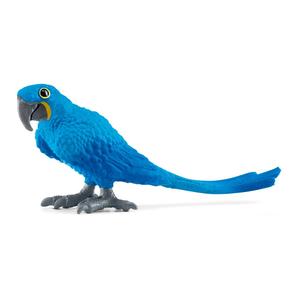 Scheich Hyacinth Macaw Discount Low Pice