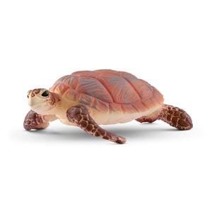 Scheich Hawskbill sea turtle Cheap Sale Sast