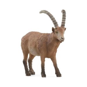Scheich Ibex Discount Pay With Visa