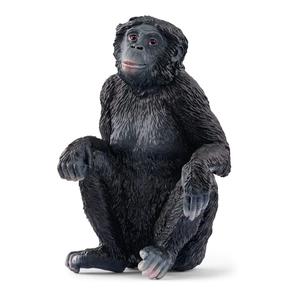 Scheich Bonobo Female Cheap Sale Discounts