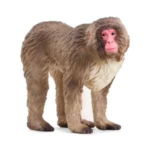 Scheich Japanese Macaque Outlet Where Can You Find