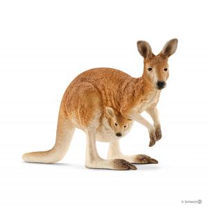 Kangaroo Cheap Sale Pictures