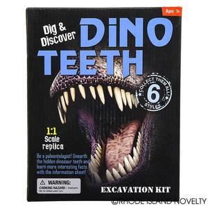 Dinosaur Teeth Excavation Kit Sale Professional
