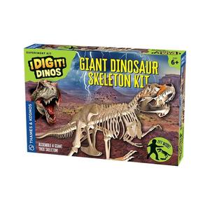 Giant Dinosaur Skeleton Kit Buy Cheap Discounts