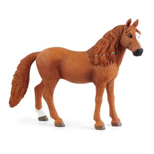 German Riding Pony Mare Cheap Store