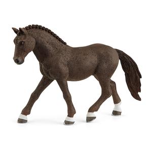 German Riding Pony Gelding Great Deals Cheap Pice