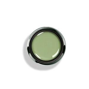 Options - Tender Leaf Free Shipping For Sale