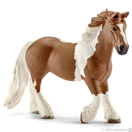 Tinker Mare Cheap View