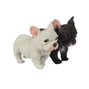 Pocket Pup Sale Best Seller