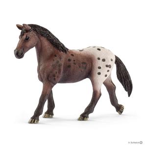 Appaloosa Mare 2025 Cheap Pice