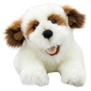 Playful Puppy - Brown & White Best Place For Sale