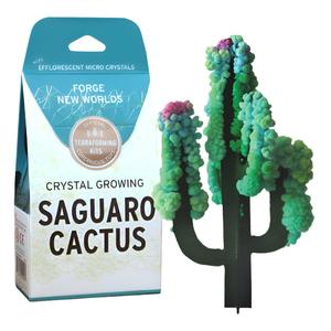 Crystal Growing Saguaro Cactus by Copernicus Toys Free Shipping With Credit Card