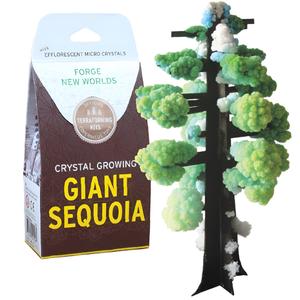 Crystal Growing Giant Sequoia by Copernicus Toys Outlet Cheap Quality