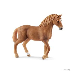 Quarter Horse Mare Authentic Online