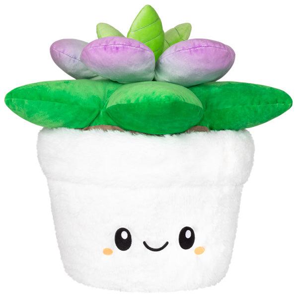 Squishables - 15" Succulent Clearance Geniue Stockist