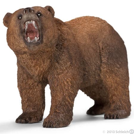 Grizzly Bear Best Store To Get Cheap Online