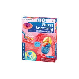 Gross Anatomy: Make-Your-Own Squishy Human Body Outlet Low Shipping Fee