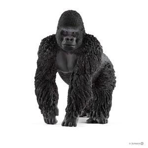 Gorilla, Male Cheap Sale Supply