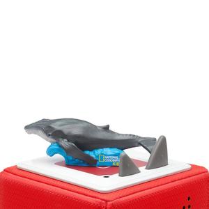 Tonies - National Geographic - Whale Discount Eastbay