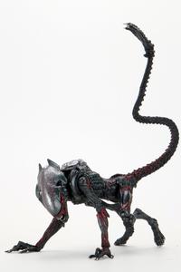 Aliens Night Cougar Alien (Kenner Tribute) 7" Scale Action Figure Discount Supply