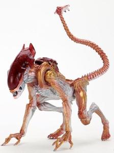 Aliens Panther Alien (Kenner Tribute) 7" Scale Action Figure Buy Cheap Excellent