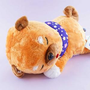Mameshiba San Kyodai Sleeping  Plushie - Mamesaburo / Big Cheap Sale Outlet