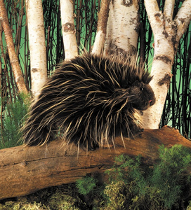Hand Puppet - Porcupine Puppet Sale Shop Offer