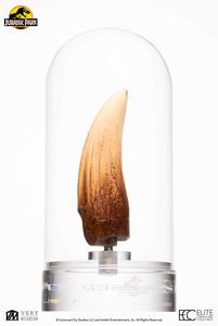 Official Jurassic Park Screen Used T-Rex Tooth Limited Edition Of 500 Worldwide Reproduction Get To Buy Cheap Online