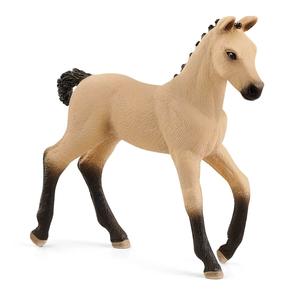 Hannoverian Foal, Red Dun Sale Purchase