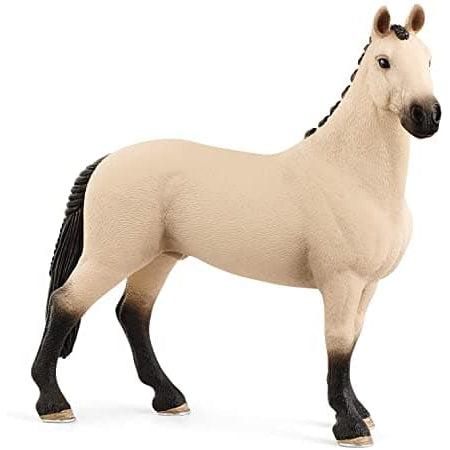 Hannoverian Gelding, Red Dun Finishline Sale Online