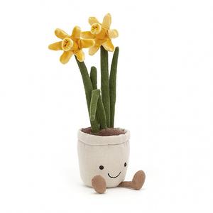 Amuseable Daffodil Clearance For Nice