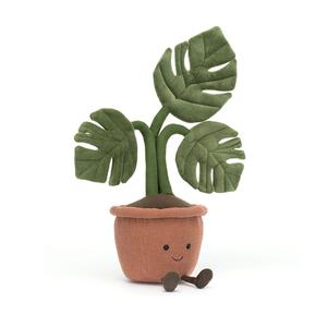 Amuseable Monstera Plant Buy Cheap Best Store To Get