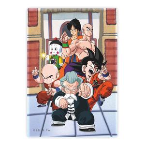 Dragon Ball Magnet Tournament Wholesale Pice Cheap Online