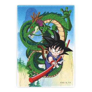 Dragon Ball Magnet Shenron and Goku Clearance Wiki