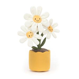 Amuseable Daisy Outlet Recommend