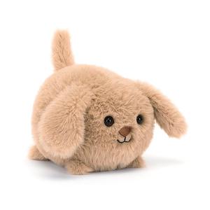 Caboodle Puppy Free Shipping Low Pice Fee Shipping