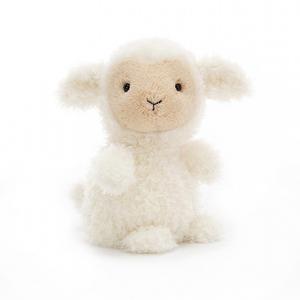 Little Lamb Geniue Stockist For Sale
