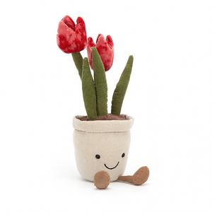Amuseable Tulip Buy Cheap Looking For