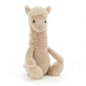 Bashful Llama Medium Low Cost Cheap Online