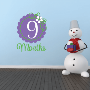 9 Month Wall Decal Free Shipping Good Selling