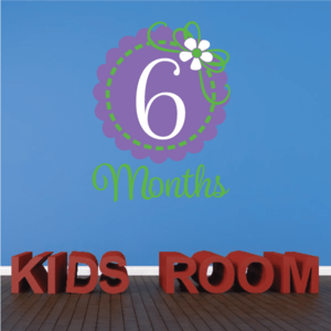 6 Month Wall Decal Sale Deals