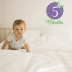 5 Month Wall Decal New Arrival