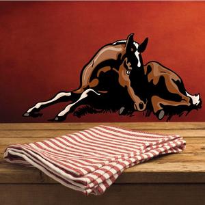 Sleeping Foal Sticker View